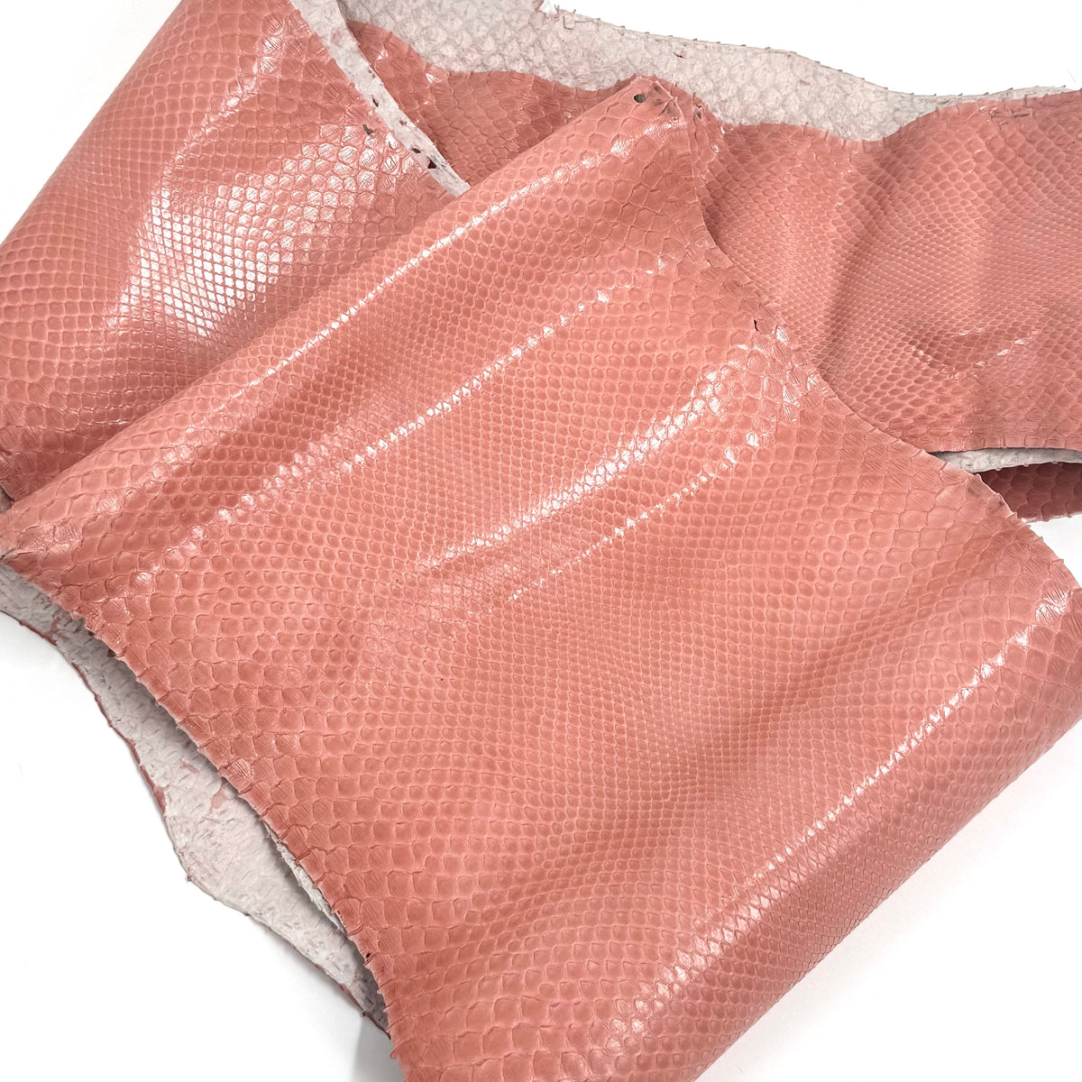 Coral Python Skin X5 - 1 Available | SALE