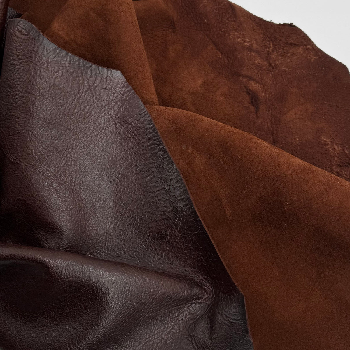South African Oryx in Dark Rust Brown