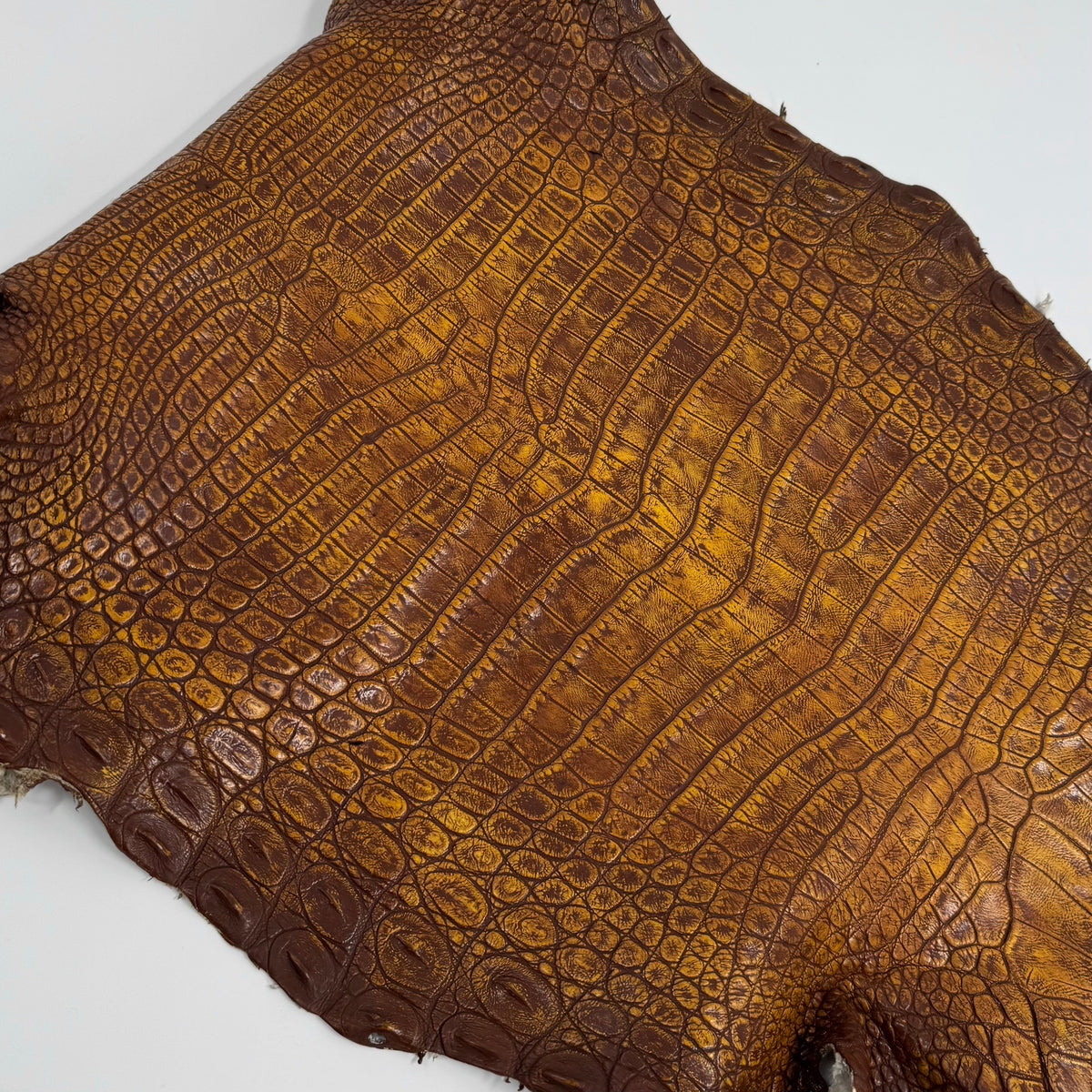 25% OFF Large Nile Crocodile - Hand Painted "Yellow Rust" 44 cm | SALE