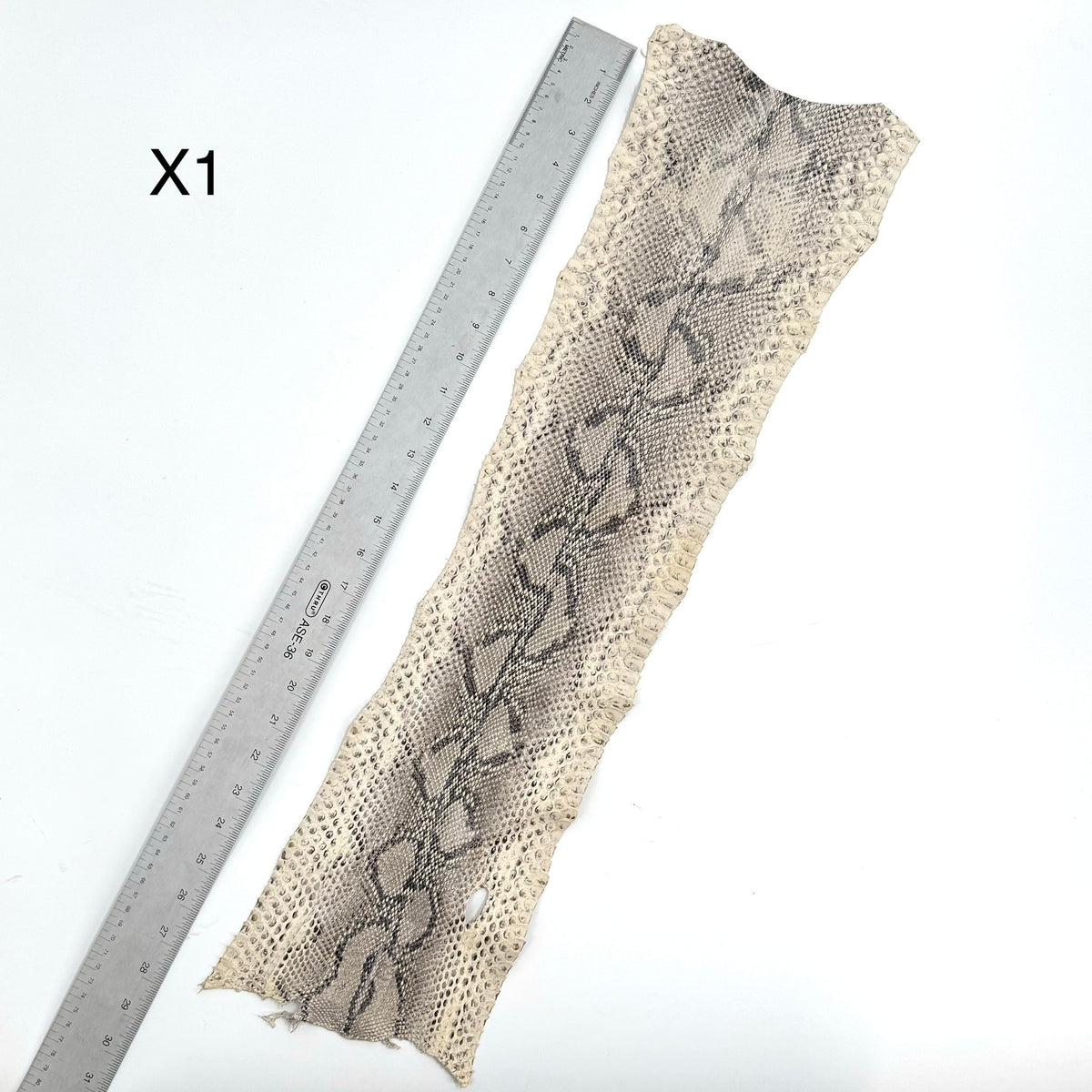 Short Python Cuts | Final Sale