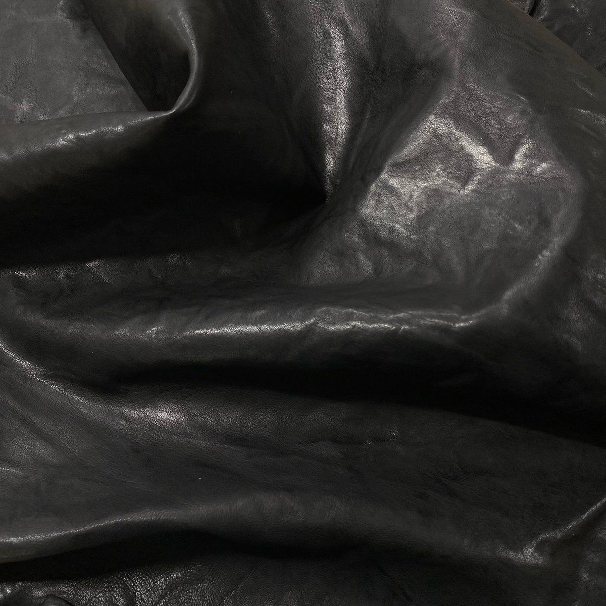 Gringo Lamb in Black