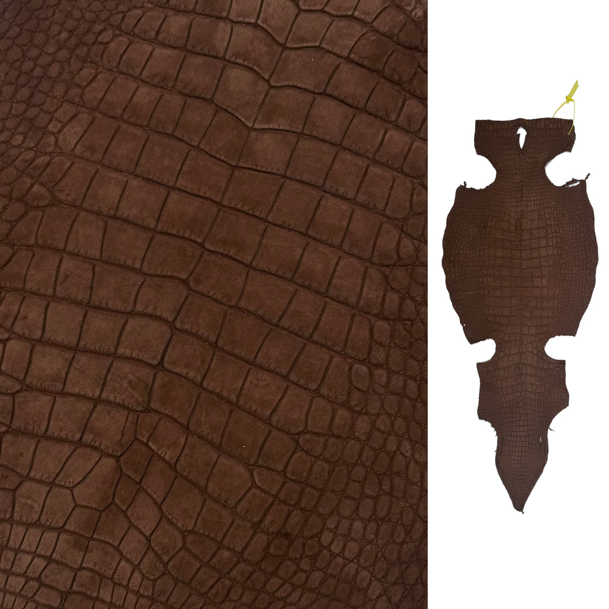Nubuck Wild American Alligator Cognac | 39 cm | SALE