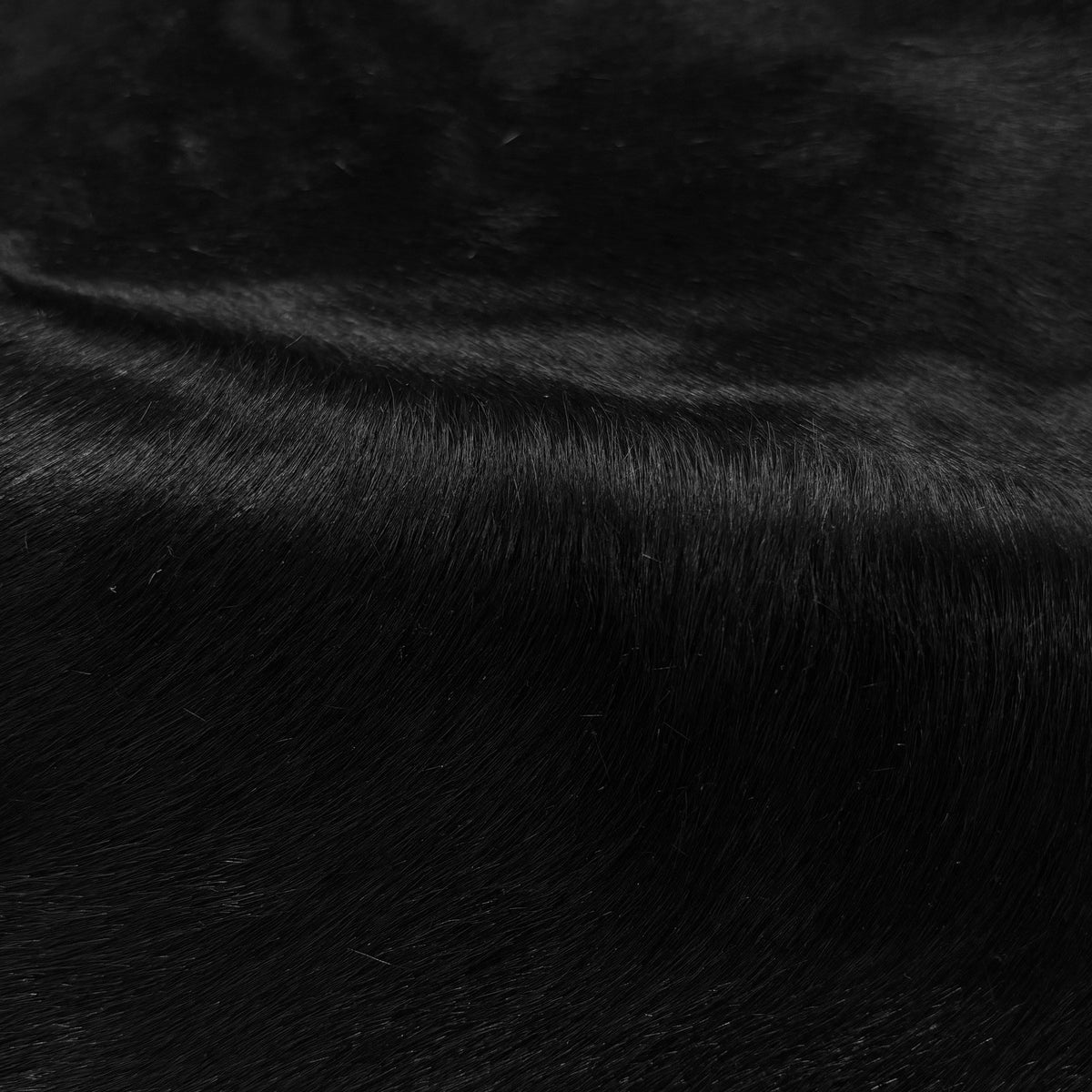 Italian Hair-on Cow Hide | Ships in 2 weeks