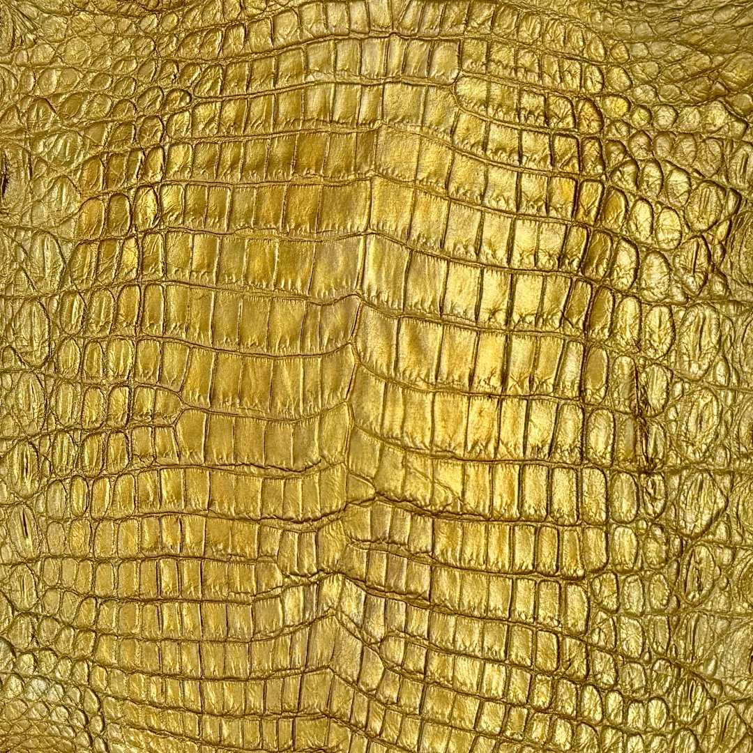 Metallic Hand Painted Nile Crocodile | Gold | 23 cm