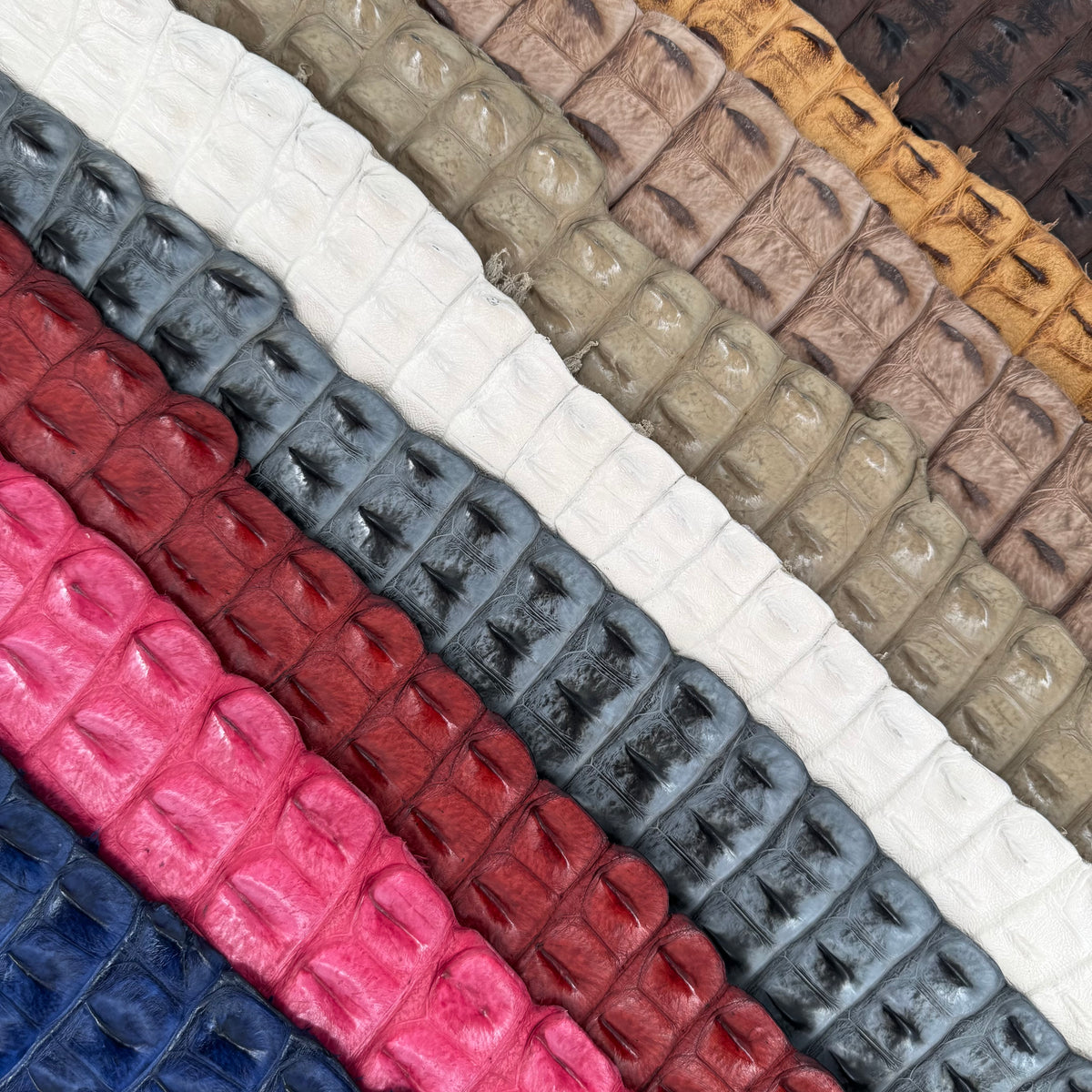 Genuine crocodile leather back tails for belts, bags, boots and accessories