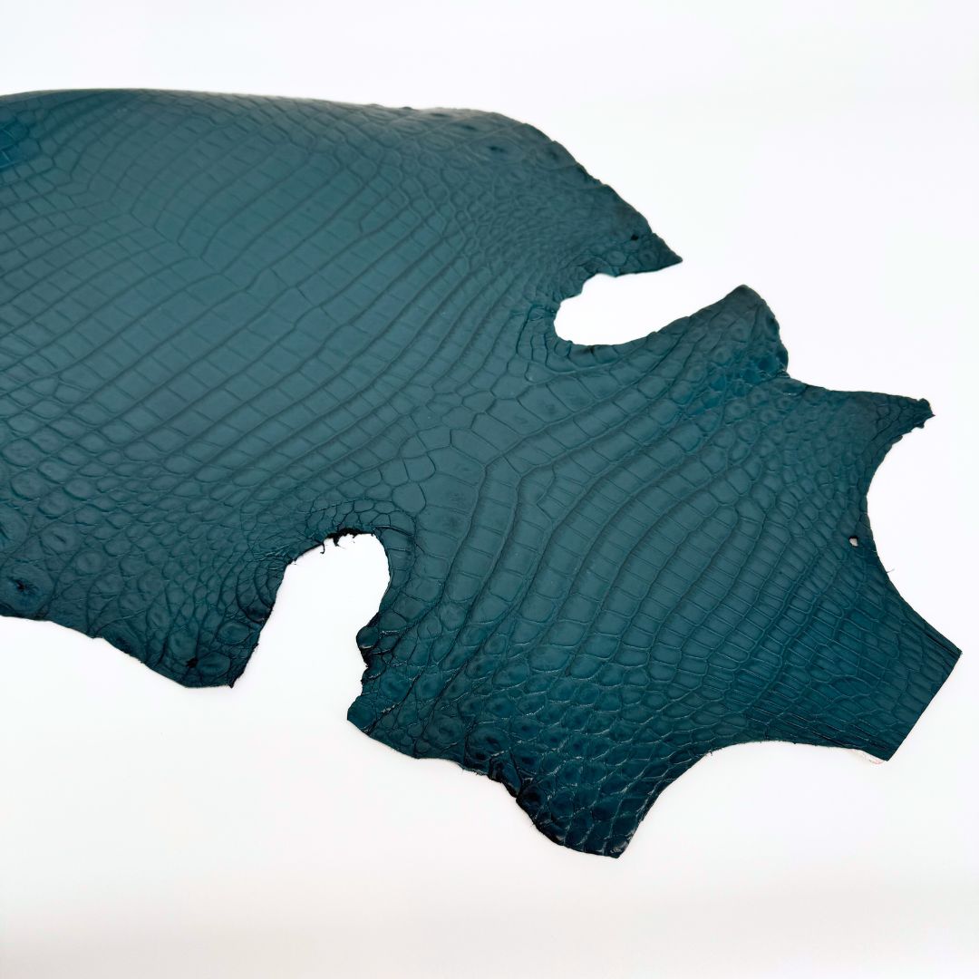 Italian Crocodile | Cyan | 33 cm