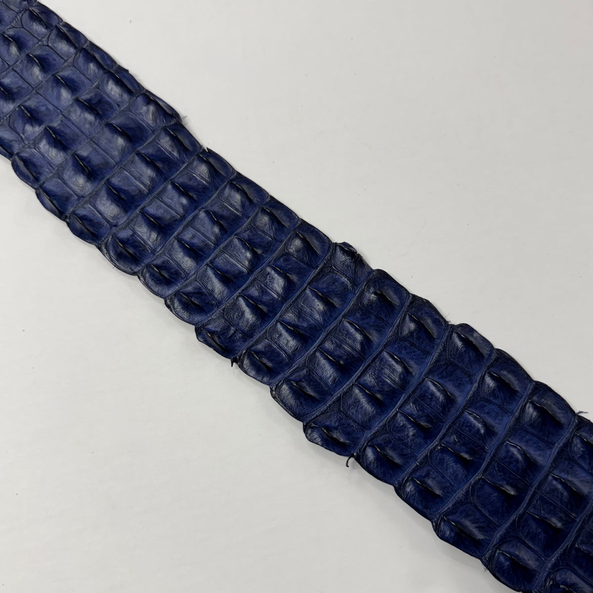 Genuine Mod Blue exotic crocodile leather – backstrap section for bold fashion designs