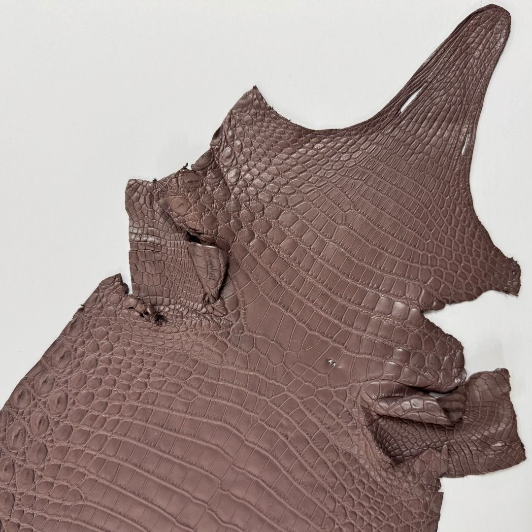 Italian Crocodile | Taupe | 31 cm