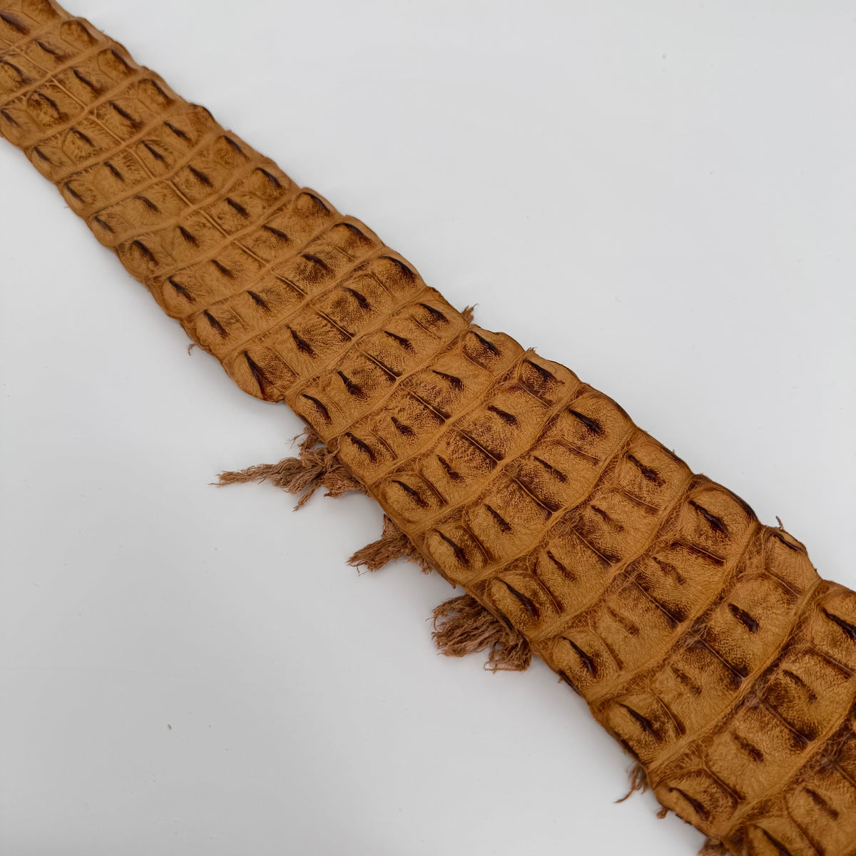 Genuine Umber Bruciato crocodile leather backstrap – ridged exotic leather for high-end accessories