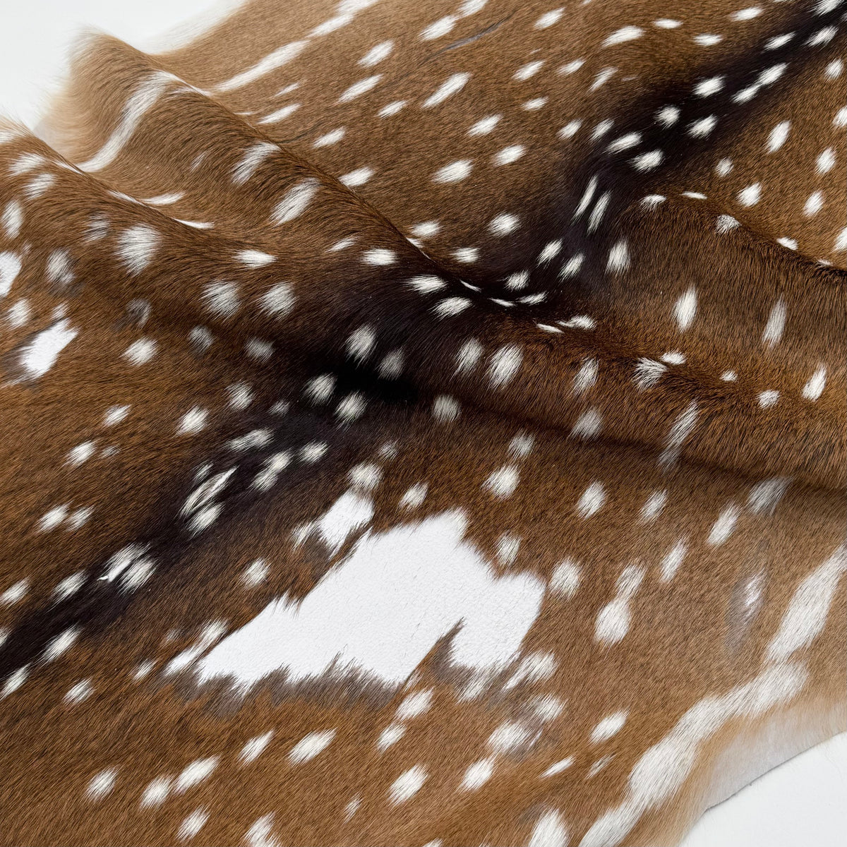 Extra Soft Axis Wild Deer Hide