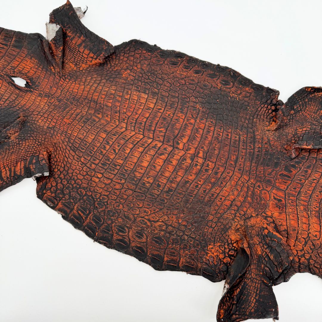 Hand Painted Nile Crocodile | Black + Dusk Orange| 23 cm