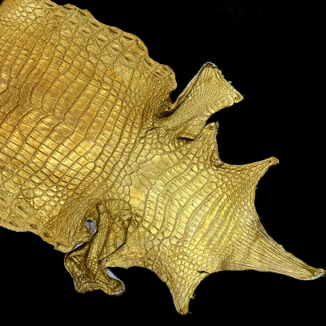 Metallic Hand Painted Nile Crocodile | Gold | 23 cm