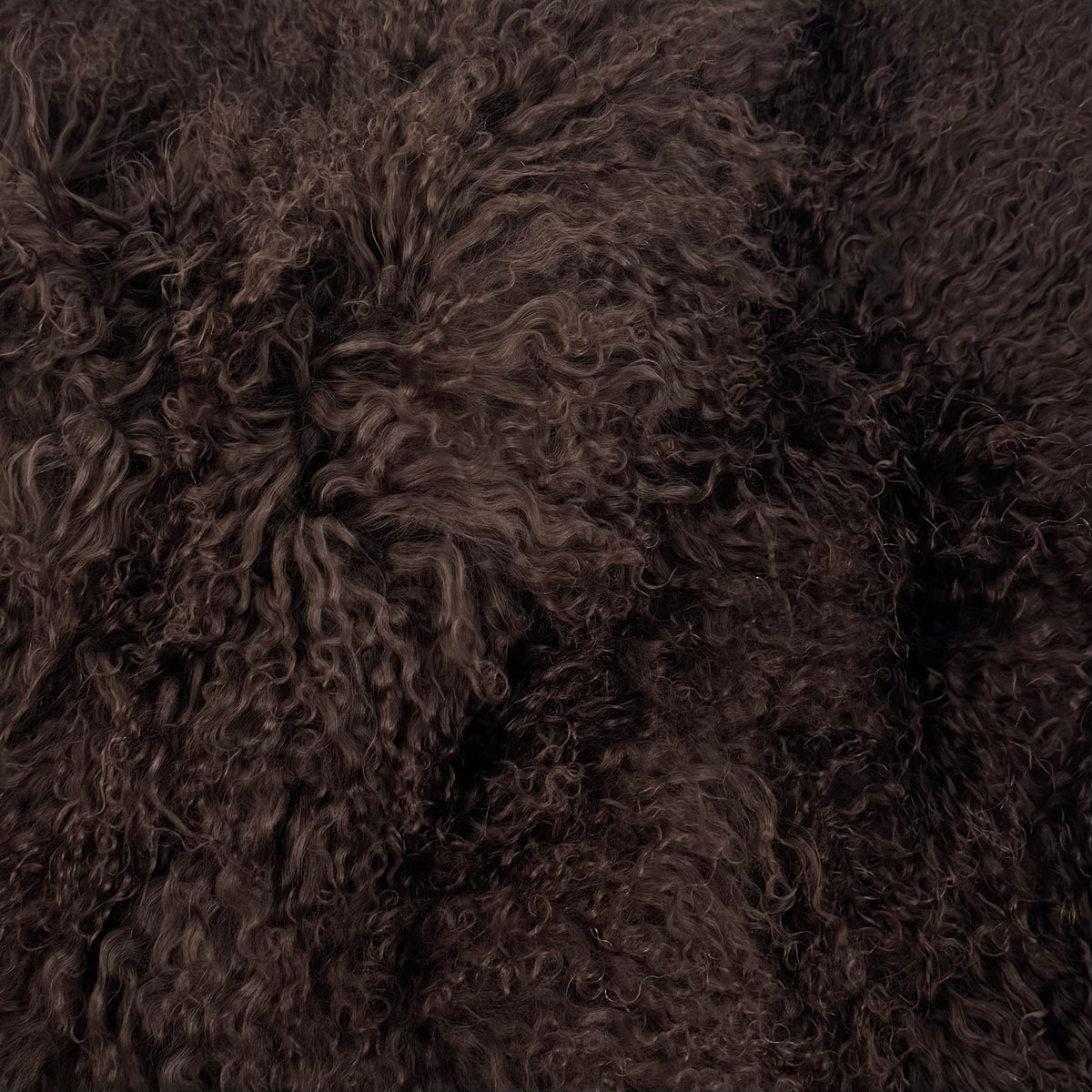 Mongolian Curly Lamb Plate | Ships in 4-5 Days