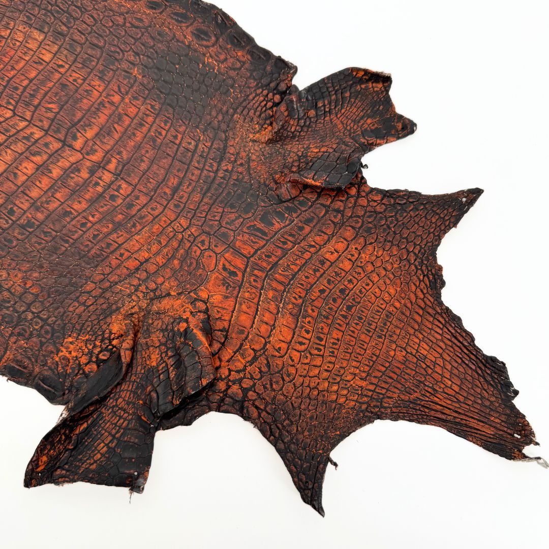 Hand Painted Nile Crocodile | Black + Dusk Orange| 23 cm