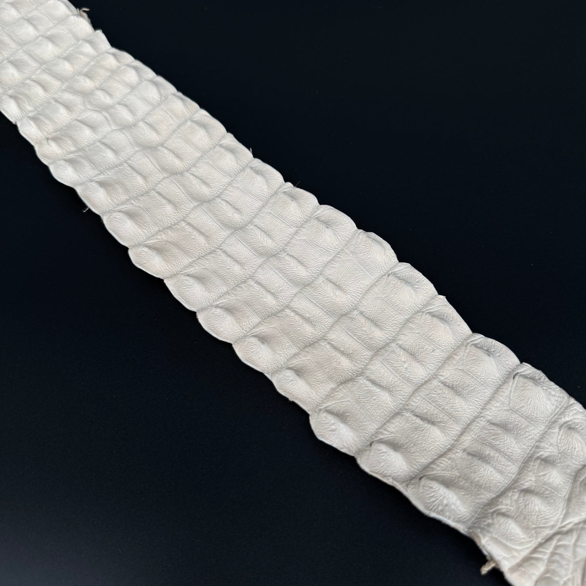 Premium Bone crocodile leather backstrap with signature spine ridges – exotic skin for crafts