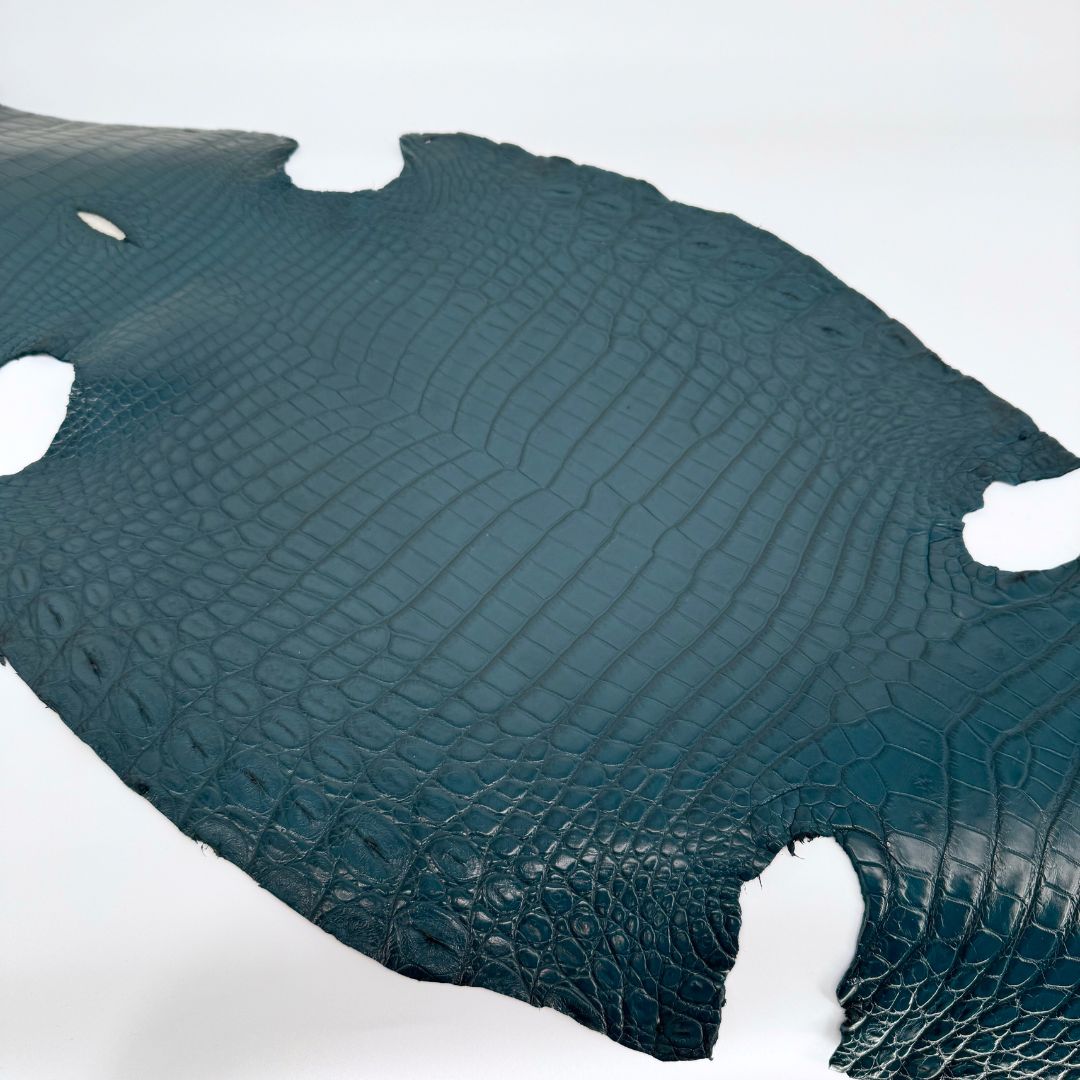 Italian Crocodile | Cyan | 33 cm