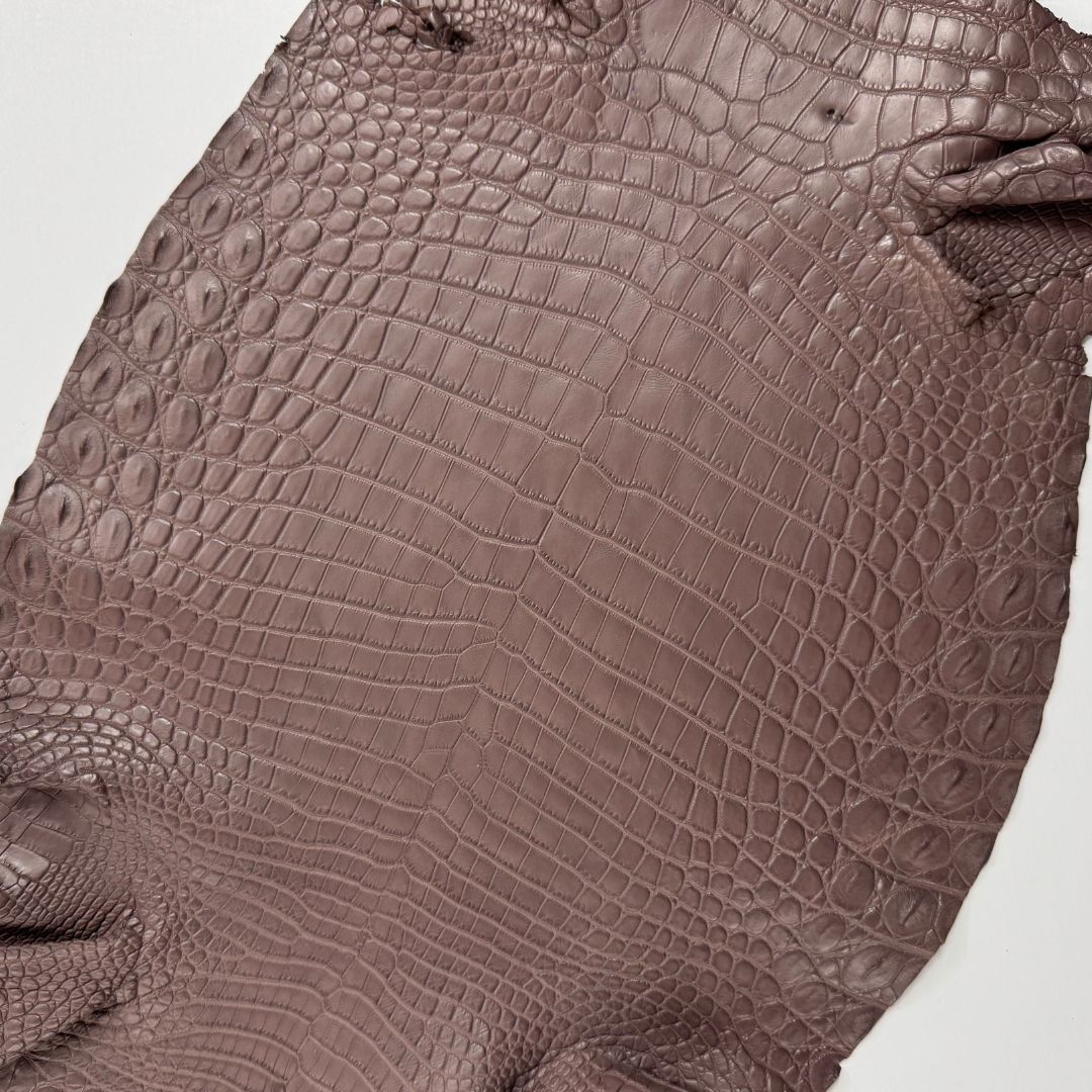 Italian Crocodile | Taupe | 31 cm