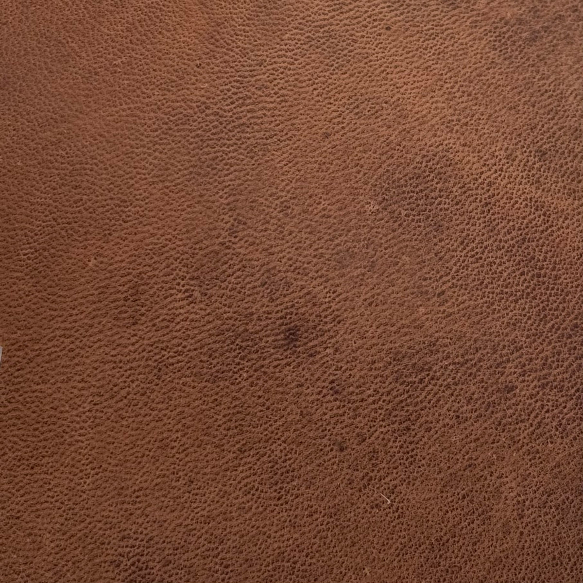 Wild Thing Nubuck Horse Leather in Nuss – warm nut-brown tone with a soft suede feel and long-lasting patina, District Leathers.