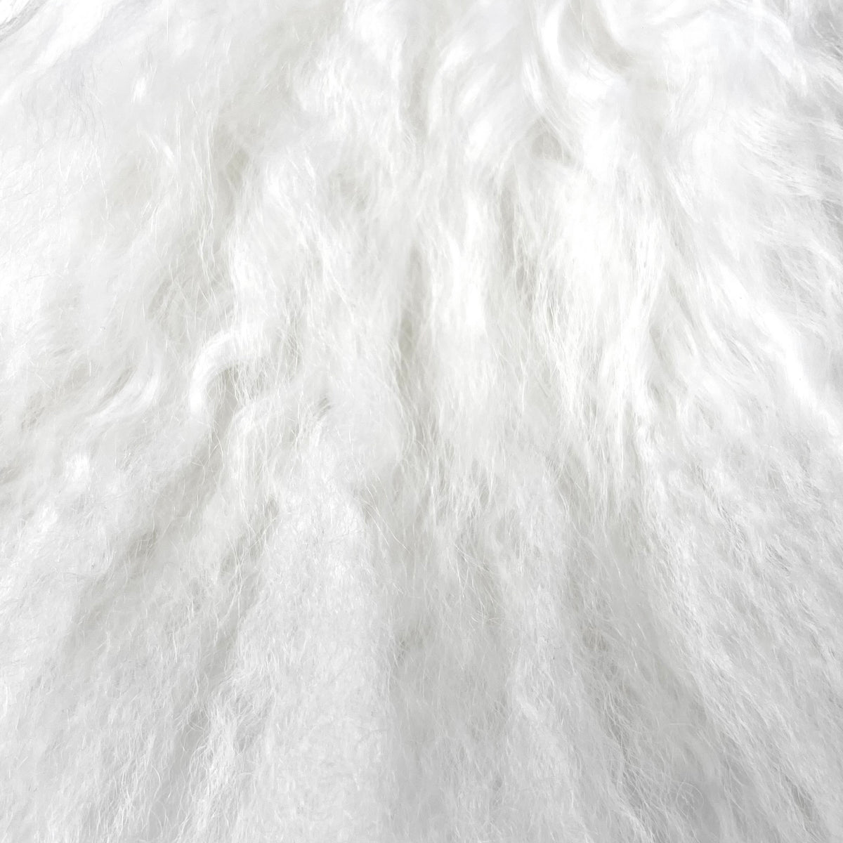 Mongolian Curly Lamb Plate | Ships in 4-5 Days