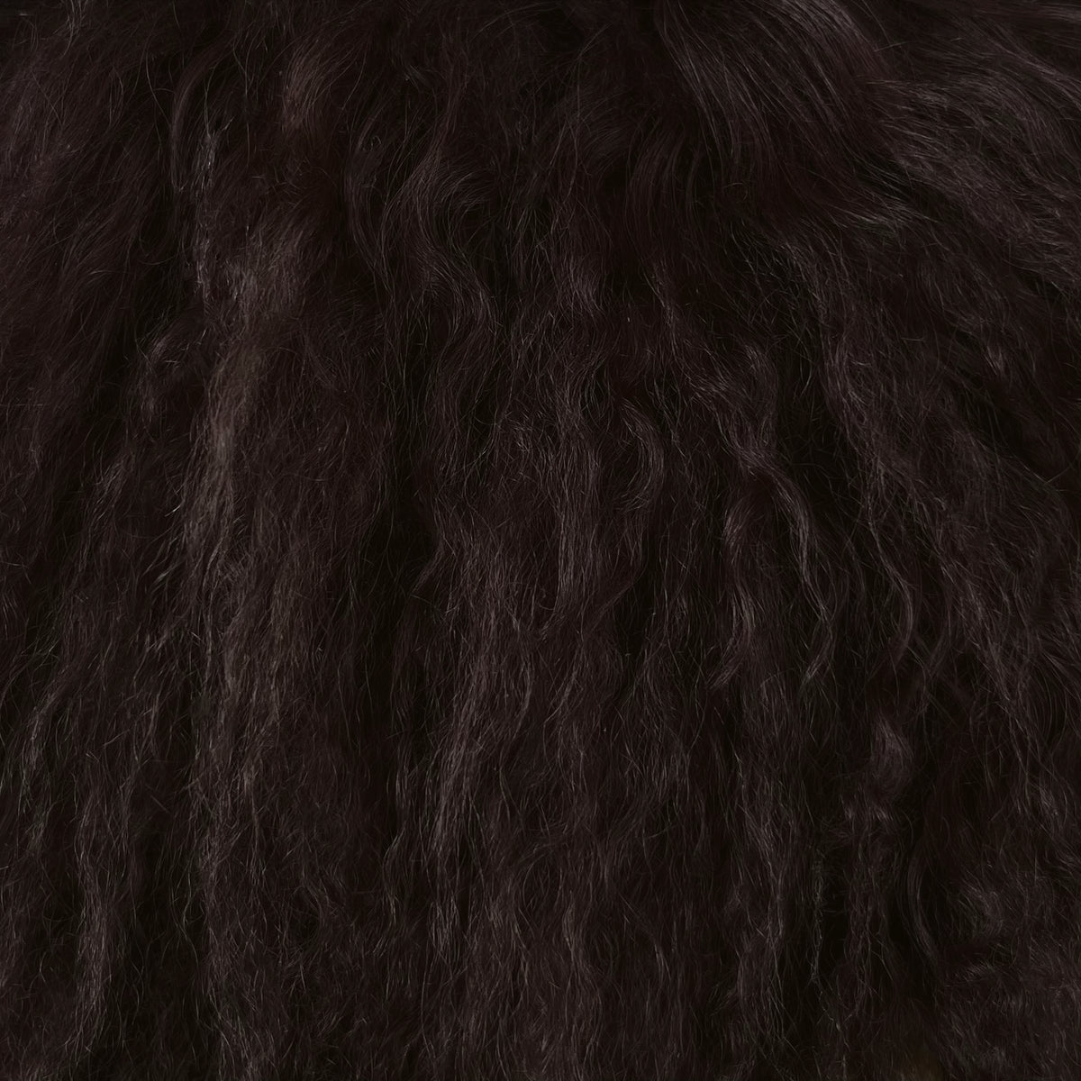 Mongolian Curly Lamb Plate | Ships in 4-5 Days