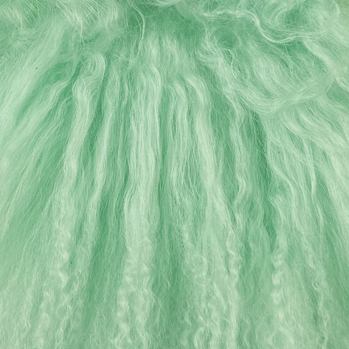 Mongolian Curly Lamb Plate | Ships in 4-5 Days