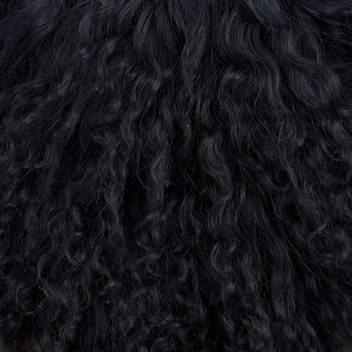 Mongolian Curly Lamb Plate | Ships in 4-5 Days