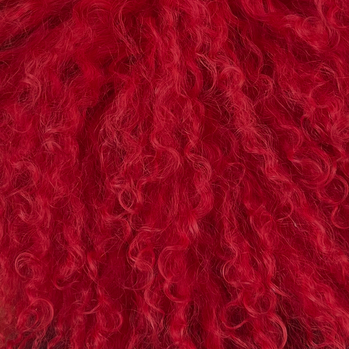 Mongolian Curly Lamb Plate | Ships in 4-5 Days