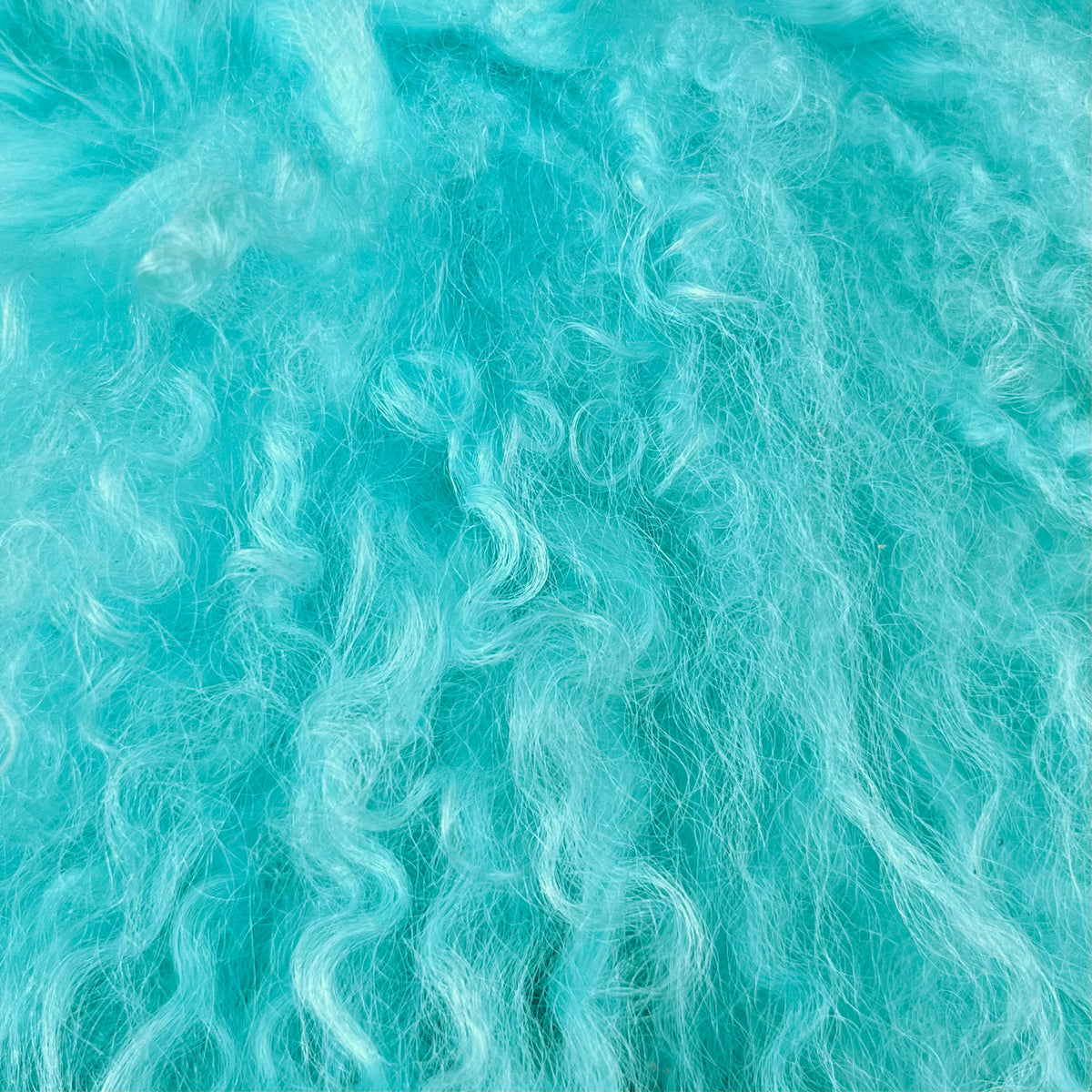 Mongolian Curly Lamb Plate | Ships in 4-5 Days