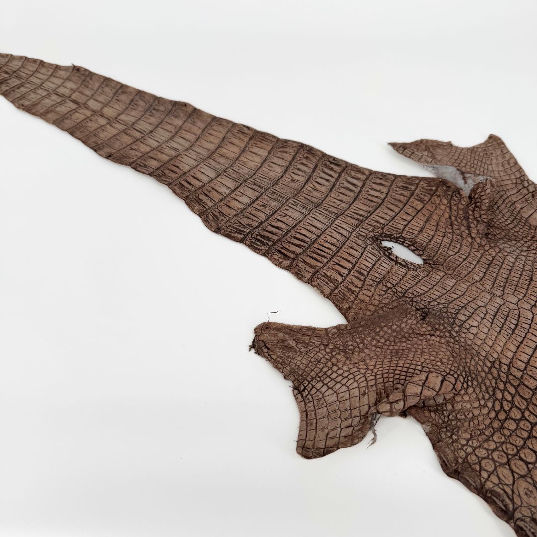 Hand Painted Nile Crocodile | Cuir | 24 cm