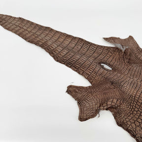 Hand Painted Nile Crocodile | Cuir | 24 cm