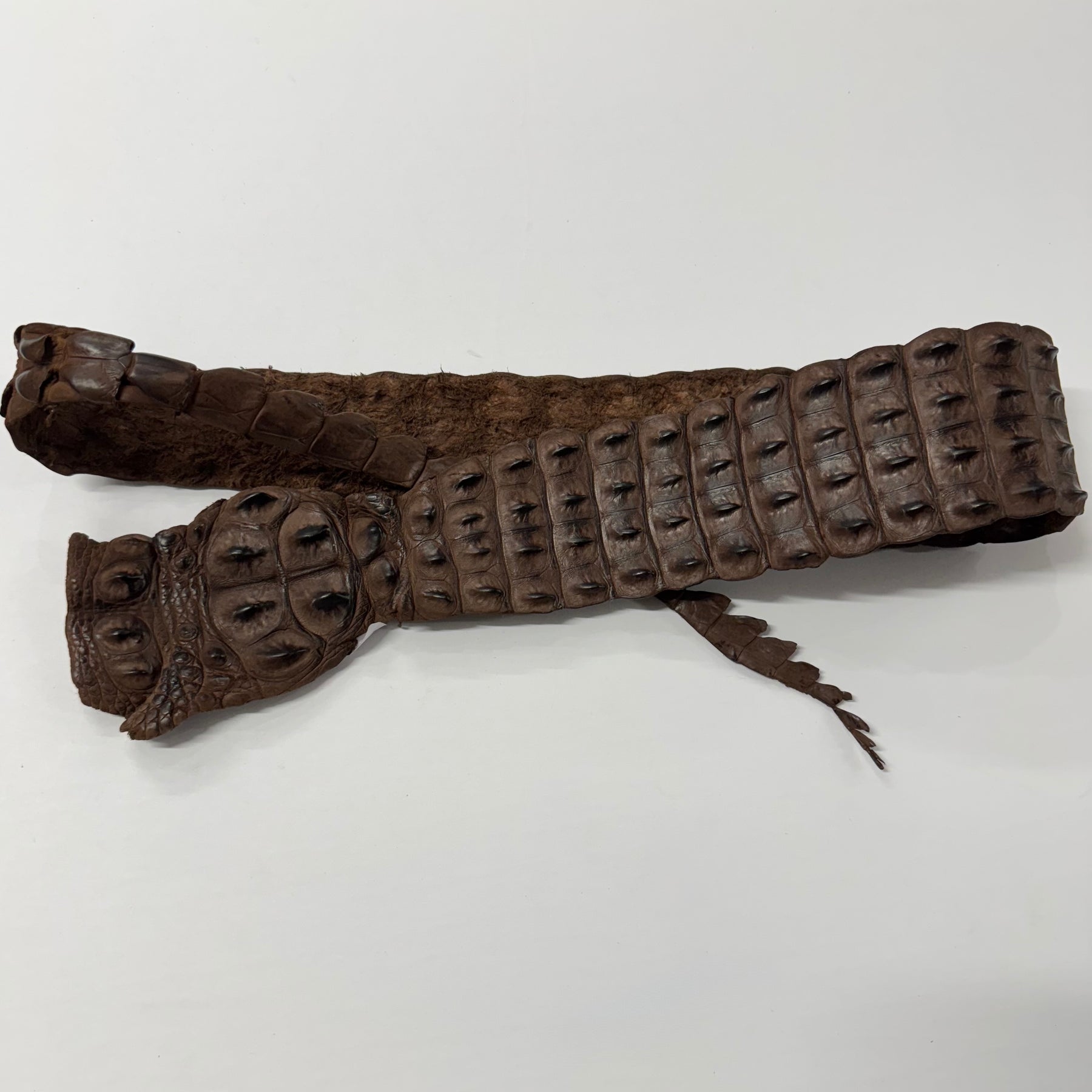 Genuine Crocodile Straps
