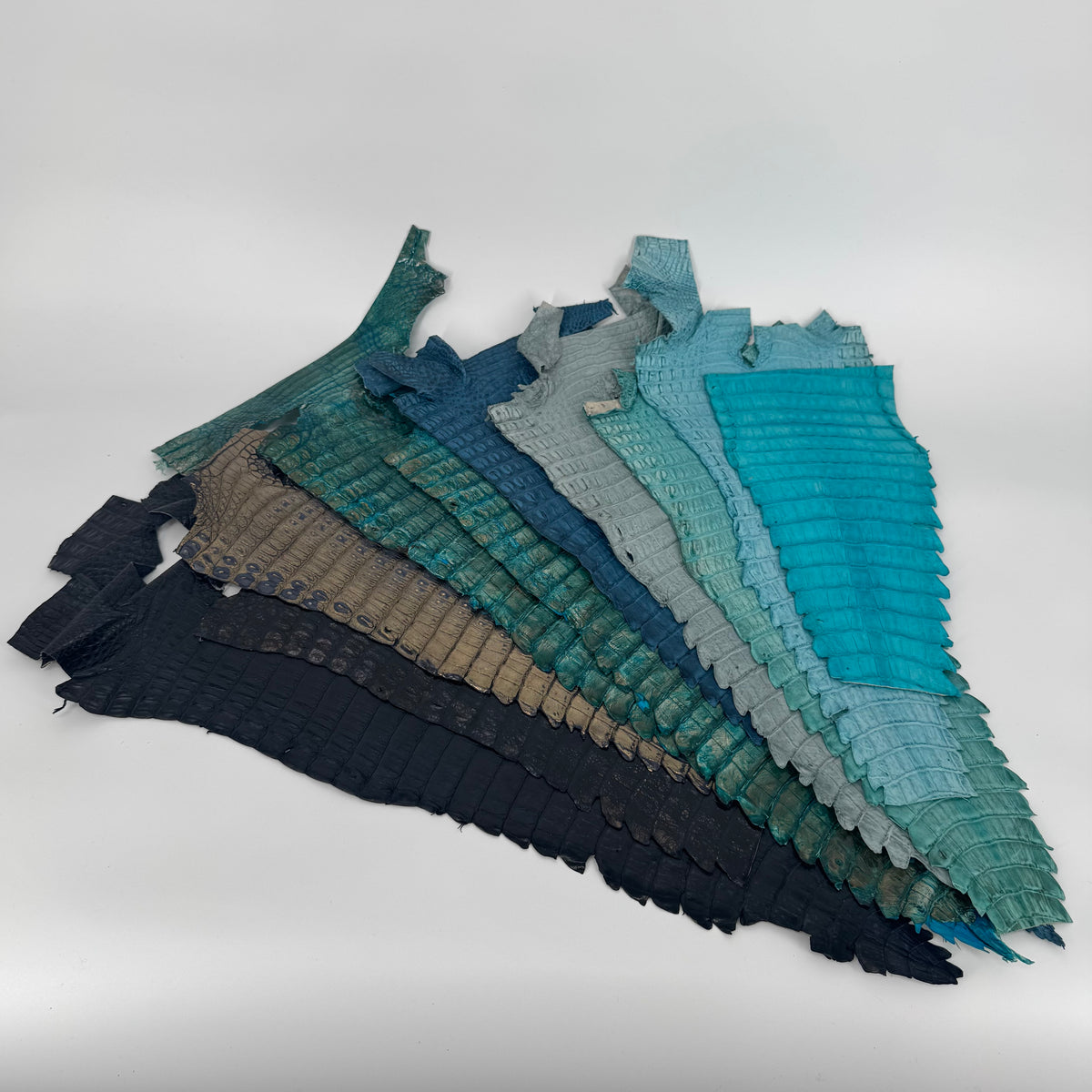 Assorted Caiman Tail Bundle – Blue