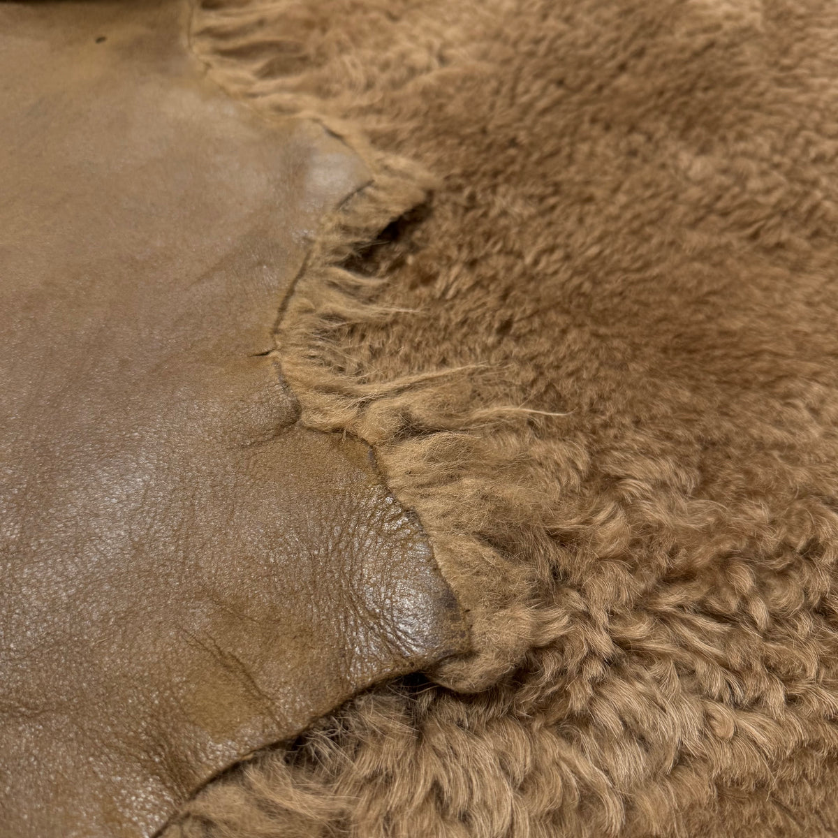 Icelandic Curly Shearling | Leather Back | Ships in 10 Days