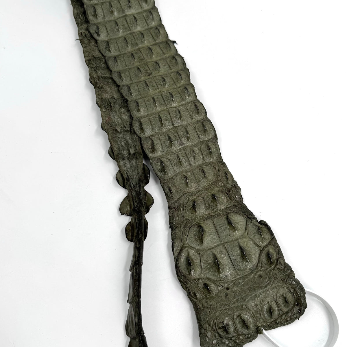 Genuine Crocodile Straps