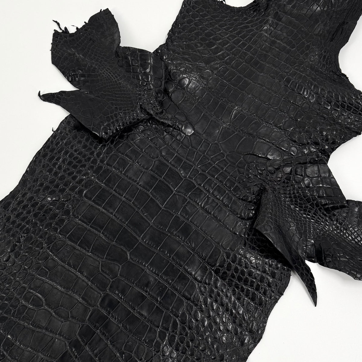 Floridian Wild Alligator (Millenium Finish)