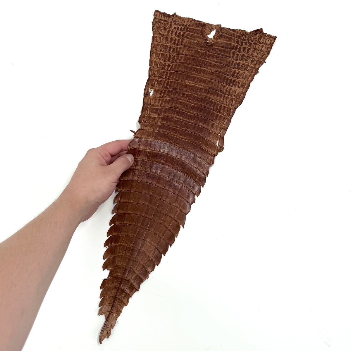 Individual Caiman Tails | SALE