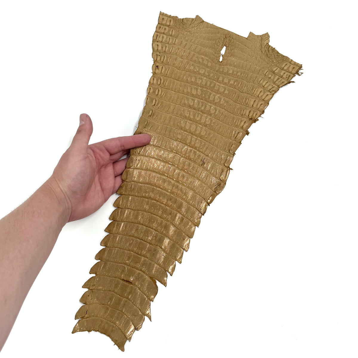 Individual Caiman Tails | SALE