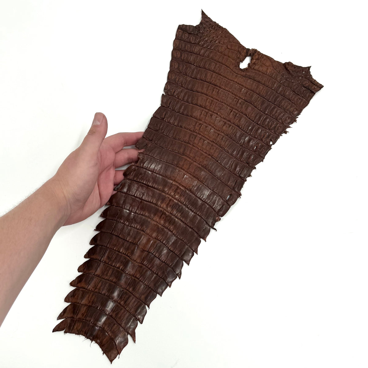 Individual Caiman Tails | SALE