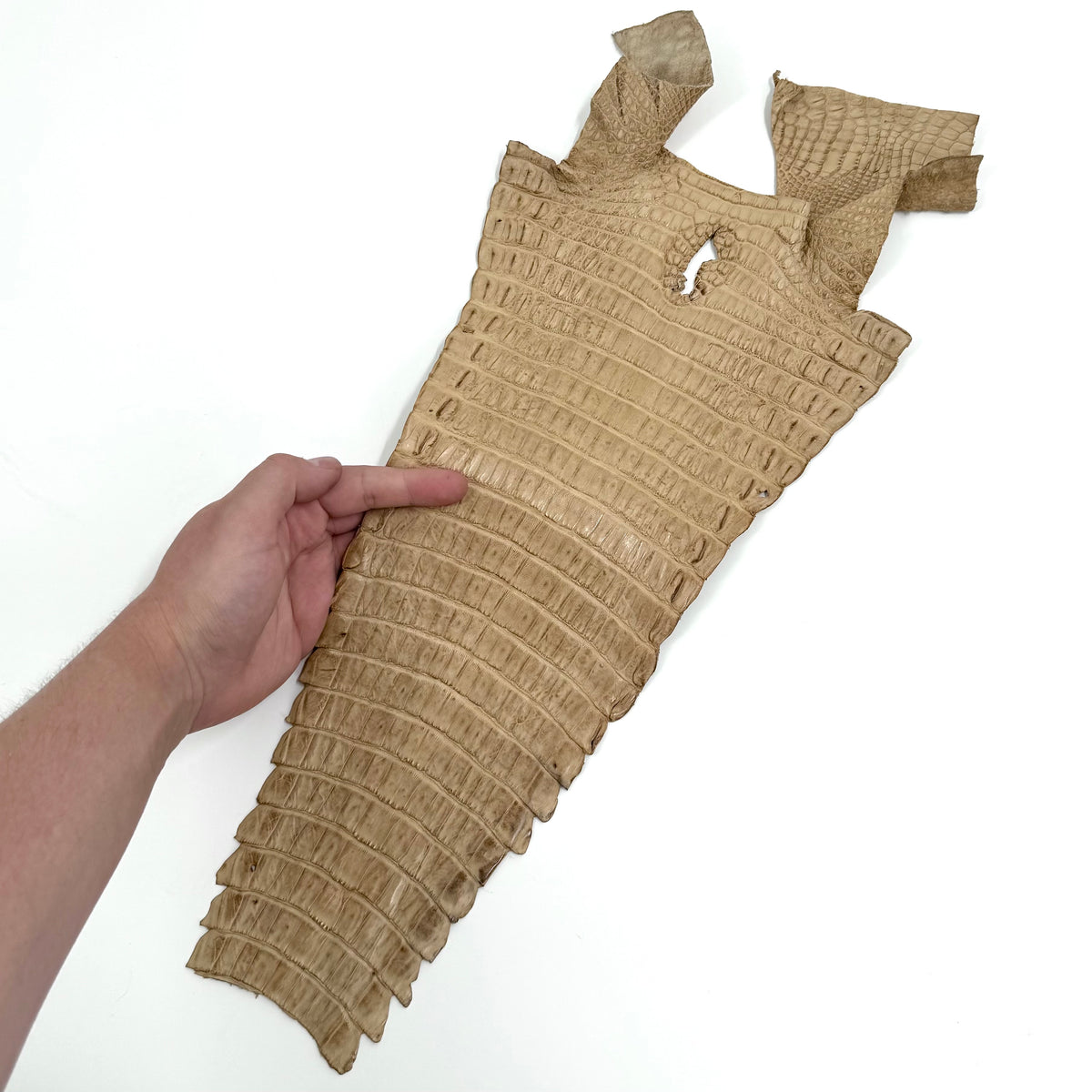 Individual Caiman Tails | SALE