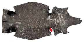 Italian Bubble Holographic Foiled Alligator - Only 1 Available