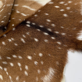 Extra Soft Axis Wild Deer Hide - only 10 available!