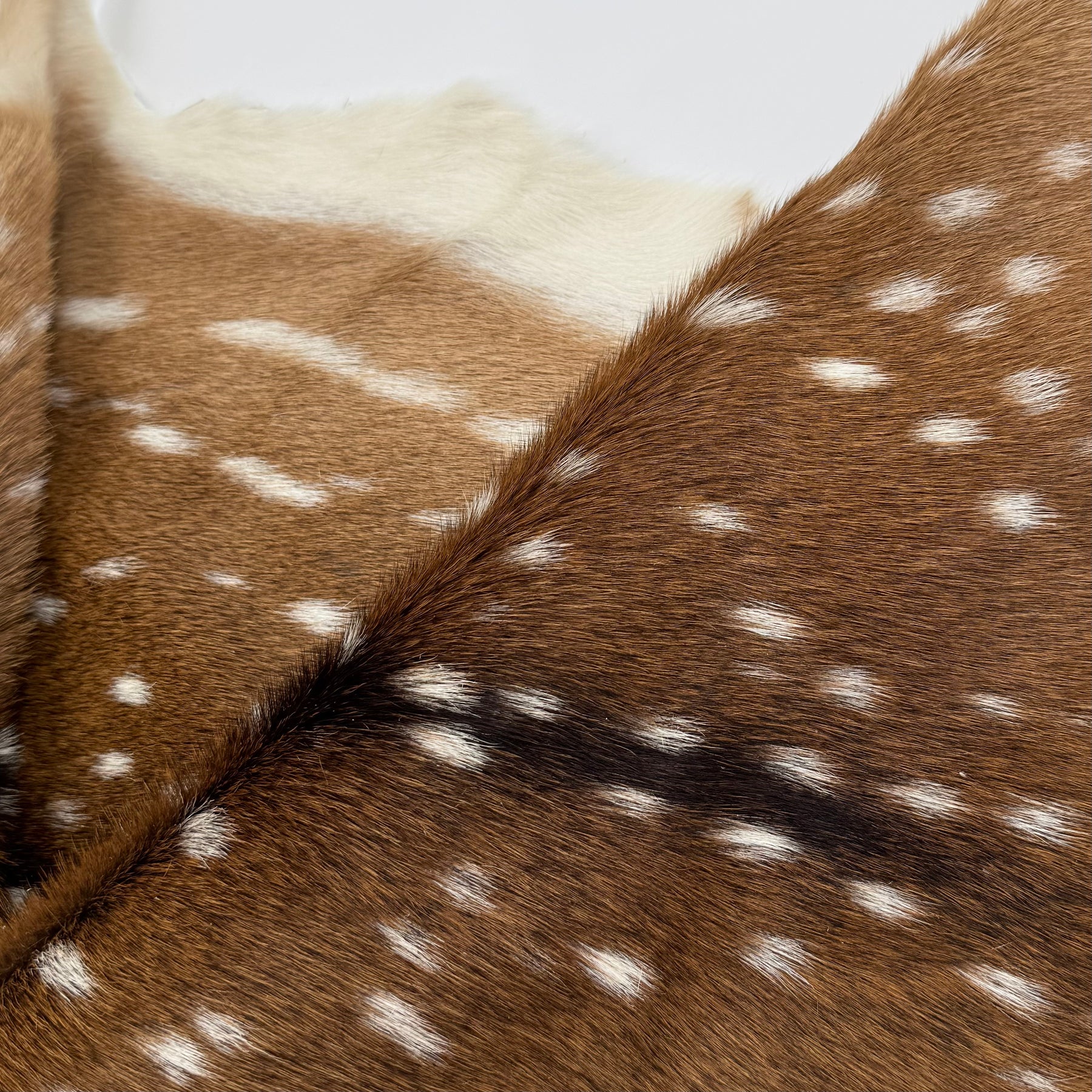 Extra Soft Axis Wild Deer Hide - only 10 available!