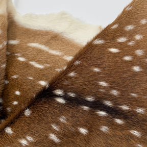 Extra Soft Axis Wild Deer Hide - only 10 available!