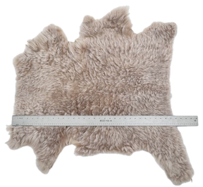 Two-Tone Icelandic Curly Shearling with Leather Backing