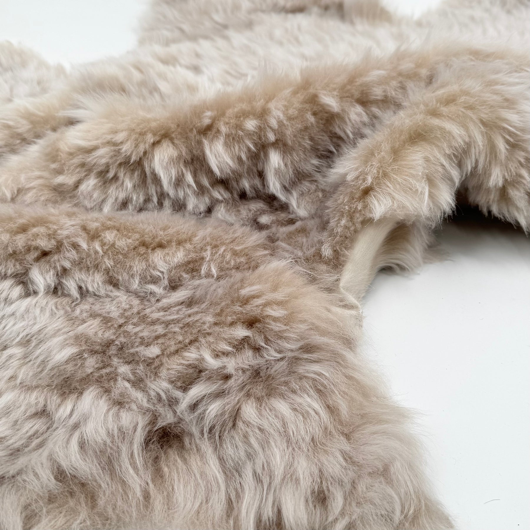 Two-Tone Icelandic Curly Shearling with Leather Backing