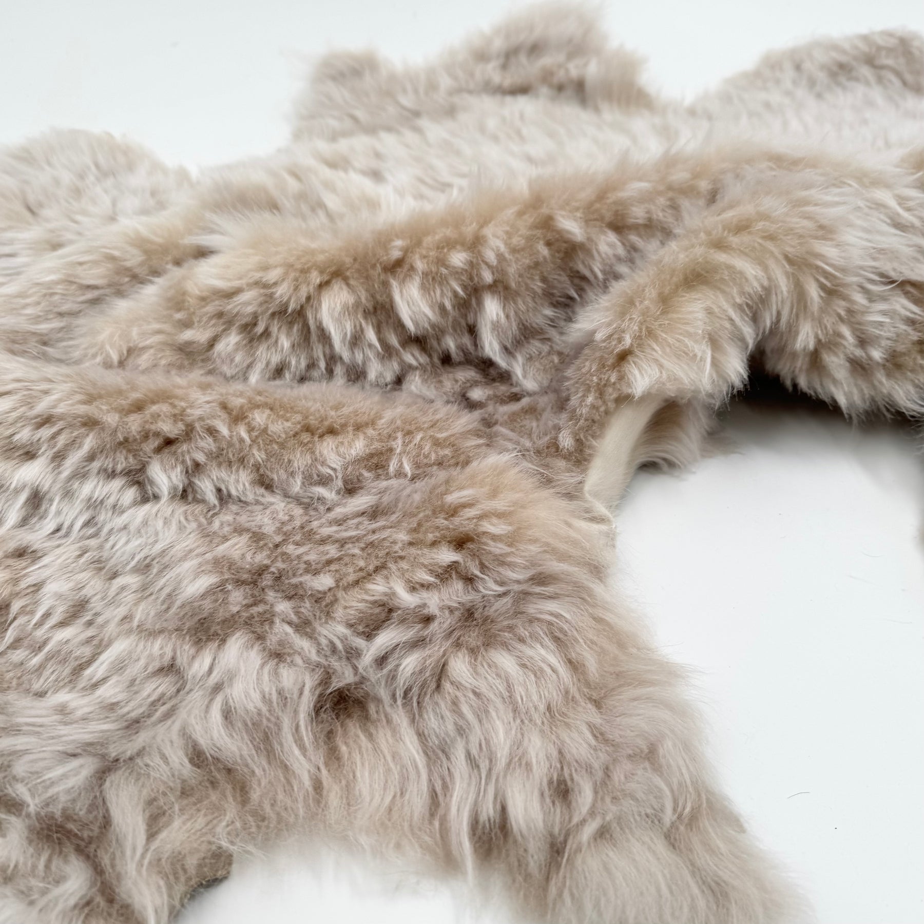 Two-Tone Icelandic Curly Shearling with Leather Backing