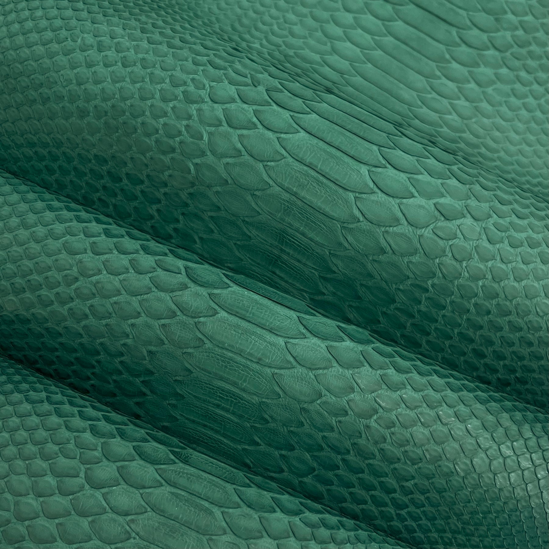 Python Matte | Forest Green | Short Cut Back Cut