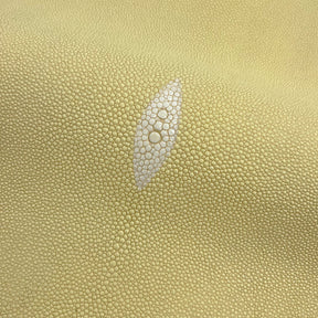 Stingray/Shagreen Genuine Skin | Bone | 11" Wide