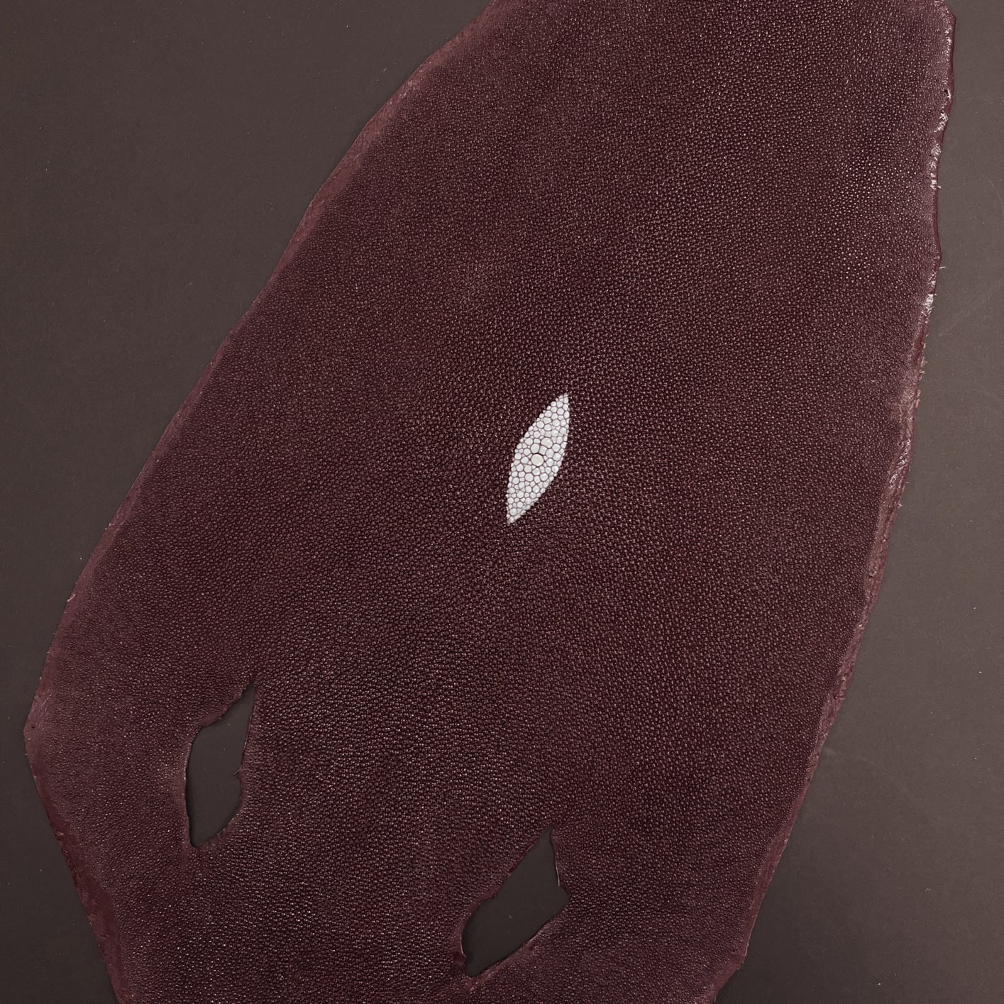 Stingray/Shagreen Genuine Skin | Burgundy | 11" Wide