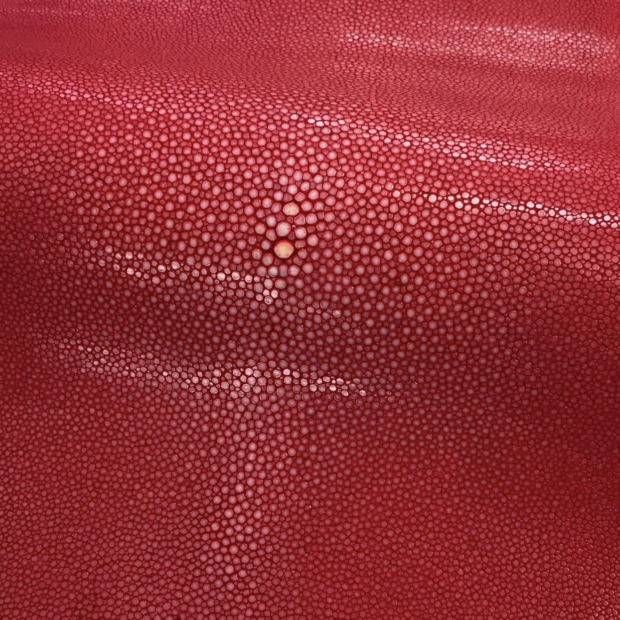 Sanded Stingray/Shagreen Genuine Skin | Red | 11" Wide